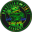 Brazilian Fight Academy